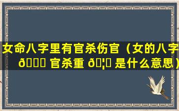 女命八字里有官杀伤官（女的八字 🕊 官杀重 🦋 是什么意思）